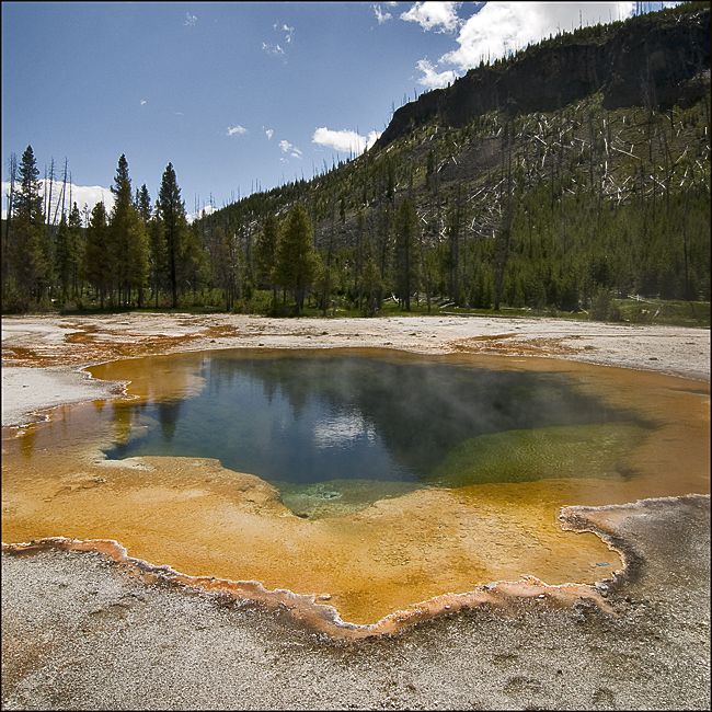 Yellowstone VI  2011
